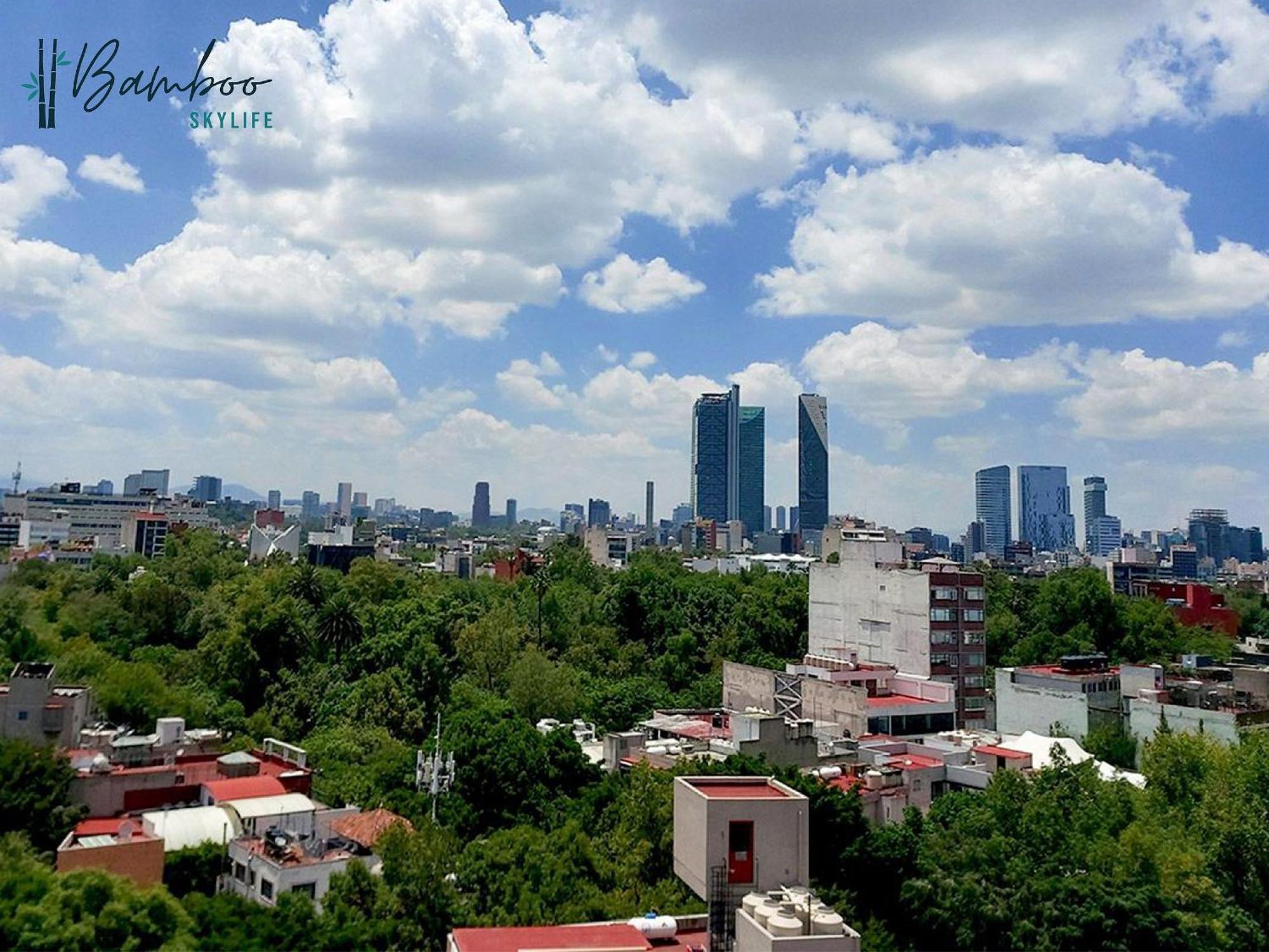 Amazing City Views Condesa Roma By Bamboo Skylife 墨西哥城 外观 照片